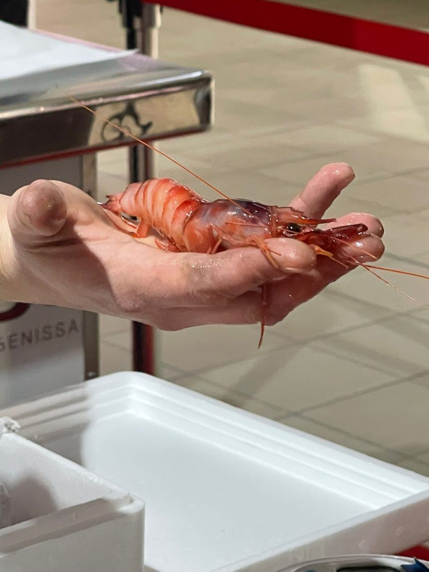 La gamba roja, la gran protagonista. Foto: Vicent Huet.
